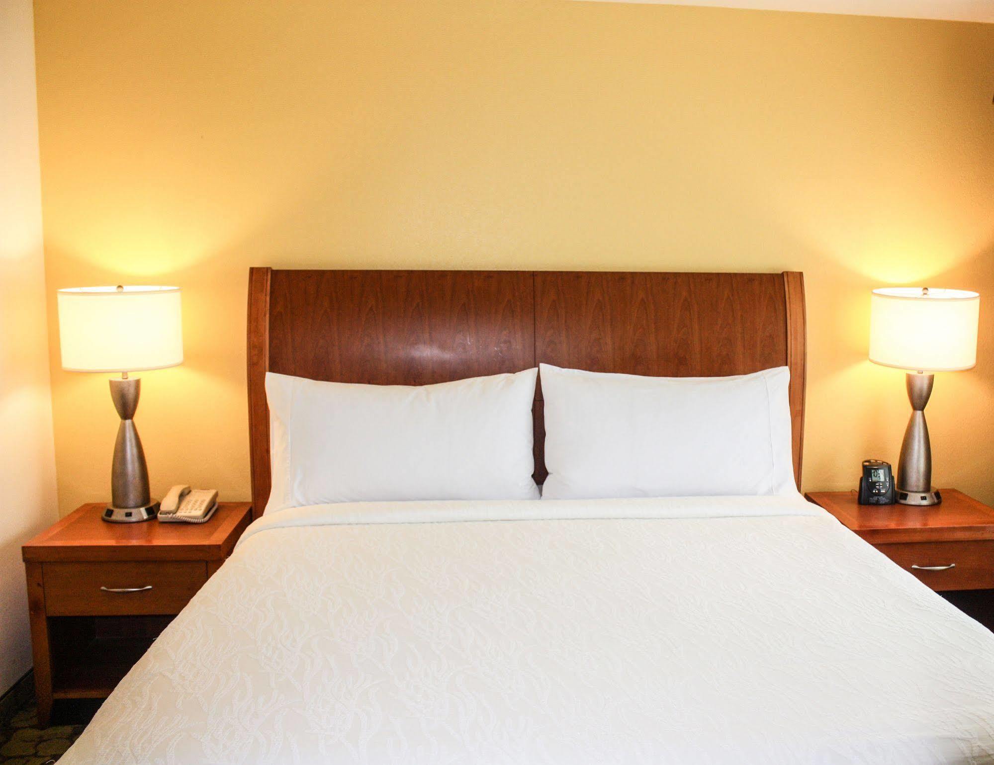 Hilton Garden Inn Houston/Galleria Area Экстерьер фото