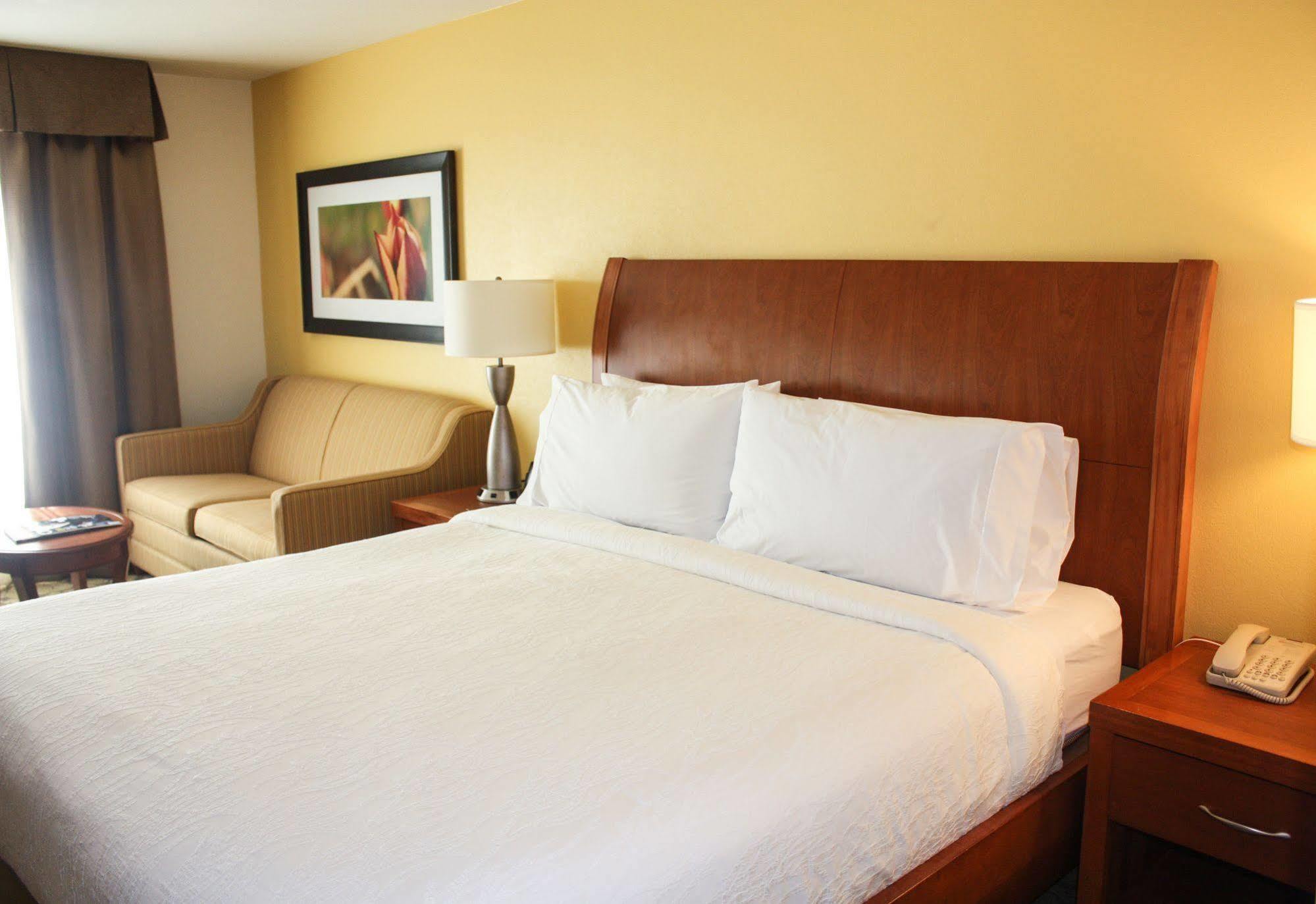 Hilton Garden Inn Houston/Galleria Area Экстерьер фото