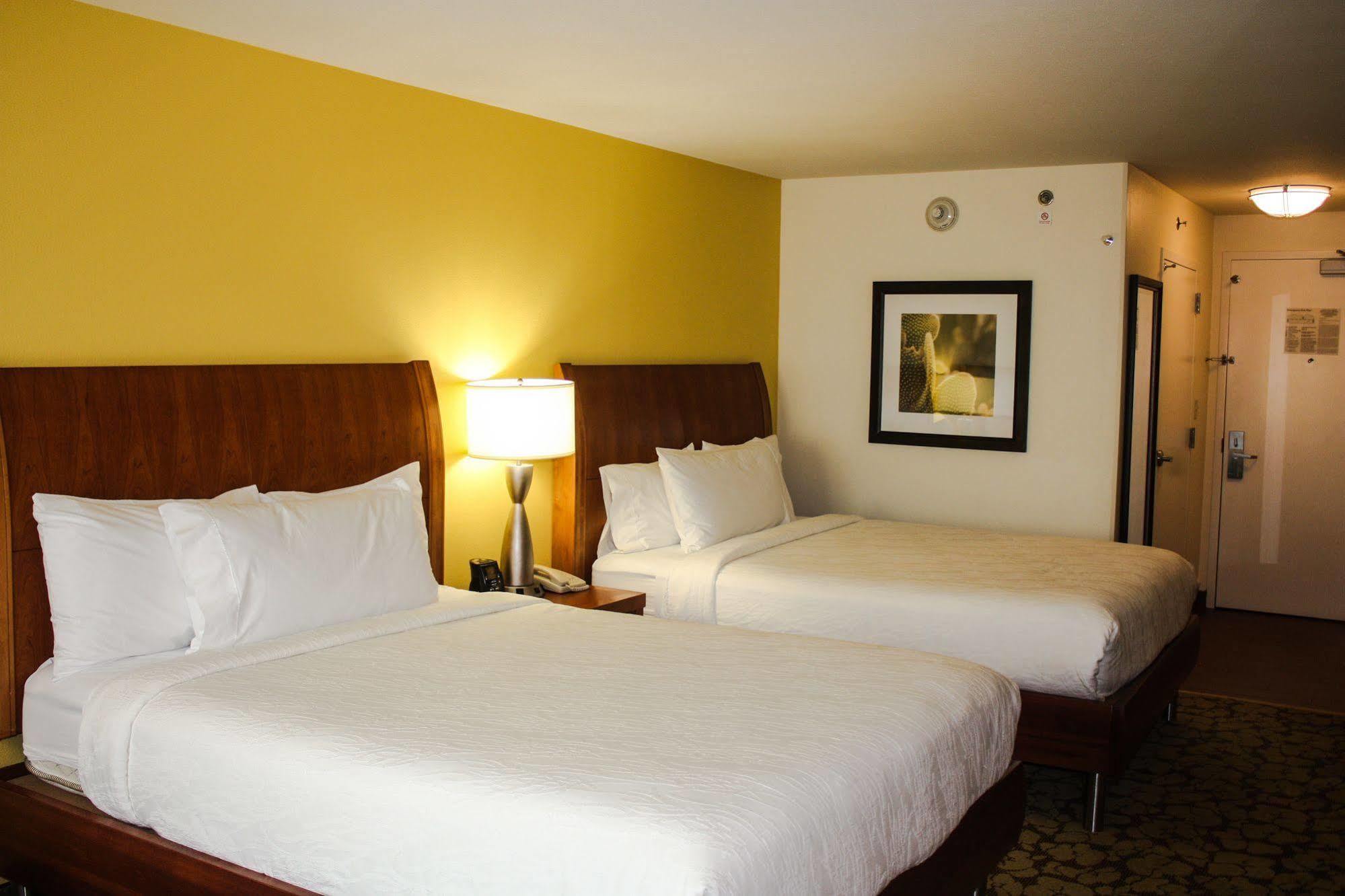 Hilton Garden Inn Houston/Galleria Area Экстерьер фото