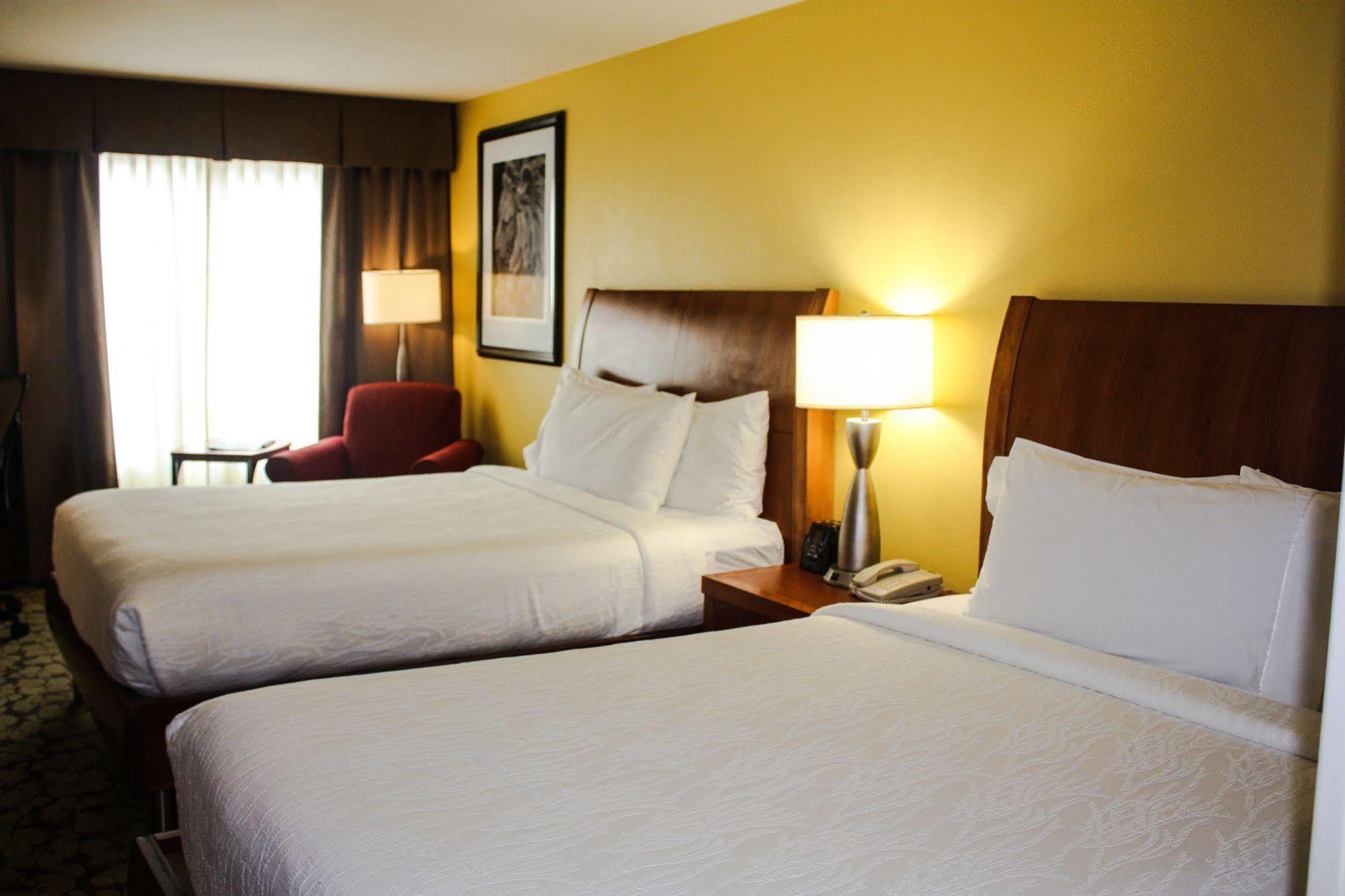 Hilton Garden Inn Houston/Galleria Area Экстерьер фото