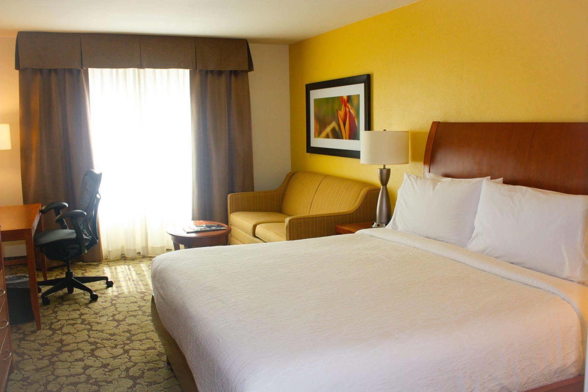 Hilton Garden Inn Houston/Galleria Area Экстерьер фото